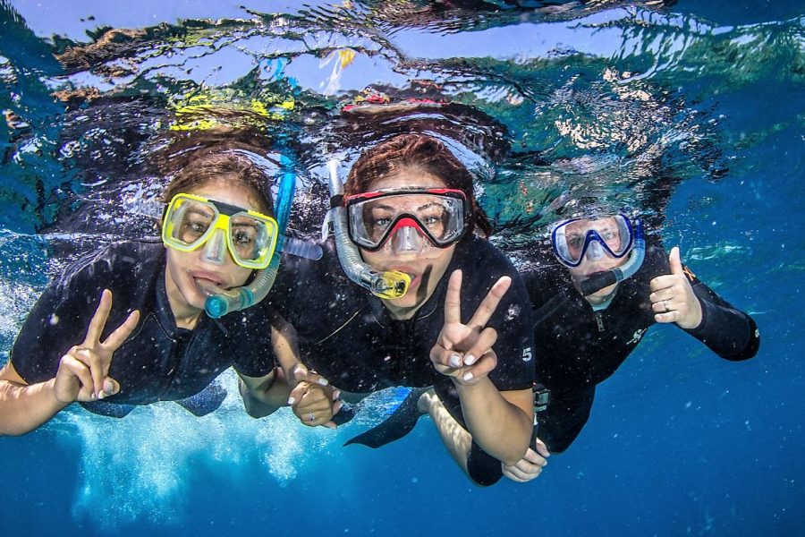 Abu Dabbab snorkeling